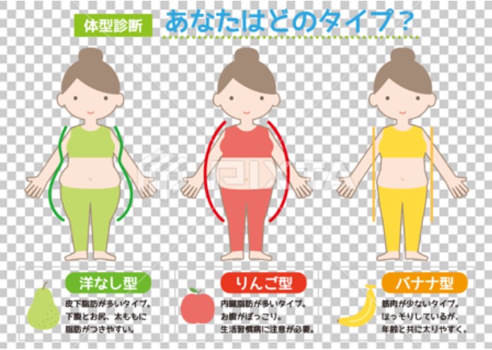 肥満体型には「リンゴ型」「洋ナシ型」「バナナ型」「キウイ型」・体型に応じたダイエット法