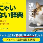 リバウンドに効果的なメンタルケアの方法