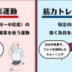 有酸素運動と筋力トレーニングの組み合わせがもたらす効果