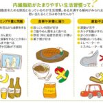 メタボ対策に効果的な基礎代謝活性化法