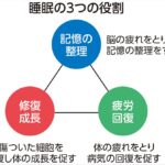痩せたいけどやってはいけない行動まとめ