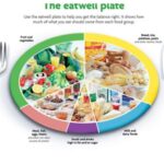 1日に取るべき理想的な間食の量と種類