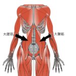 元気になるために大腰筋の活性化が必要な理由