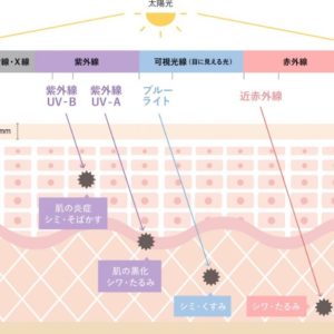 デジタルデバイスの紫外線対策、肌に必要なケアとは？