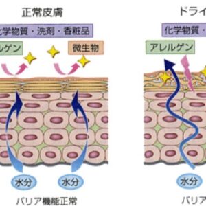 こっそり教える！顔の皮脂をコントロールするテクニック