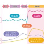 40代女性のためのホルモンバランス改善法